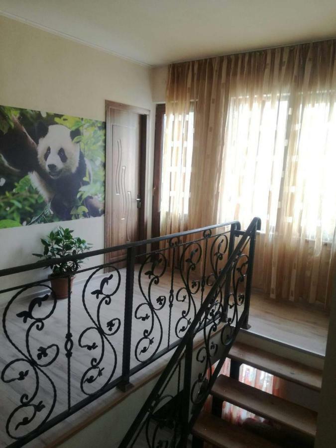 Happy Pandasn12 Borjomi Exterior foto
